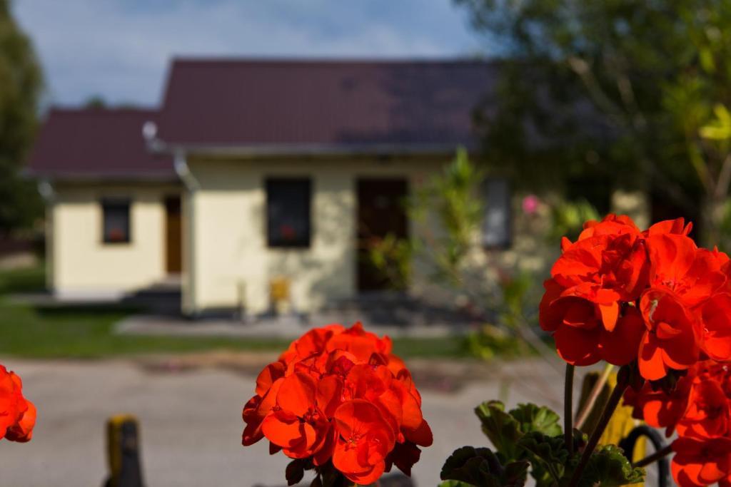מלון Badacsonytördemic Balaton Eldorado Camping מראה חיצוני תמונה